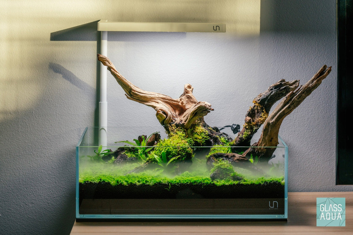 Rimless Shallow Aquarium Tank, Low-Iron Open-Top Design for Planted or Reef Aquascapes from 0.5 to 68.4 Gallons source image 5