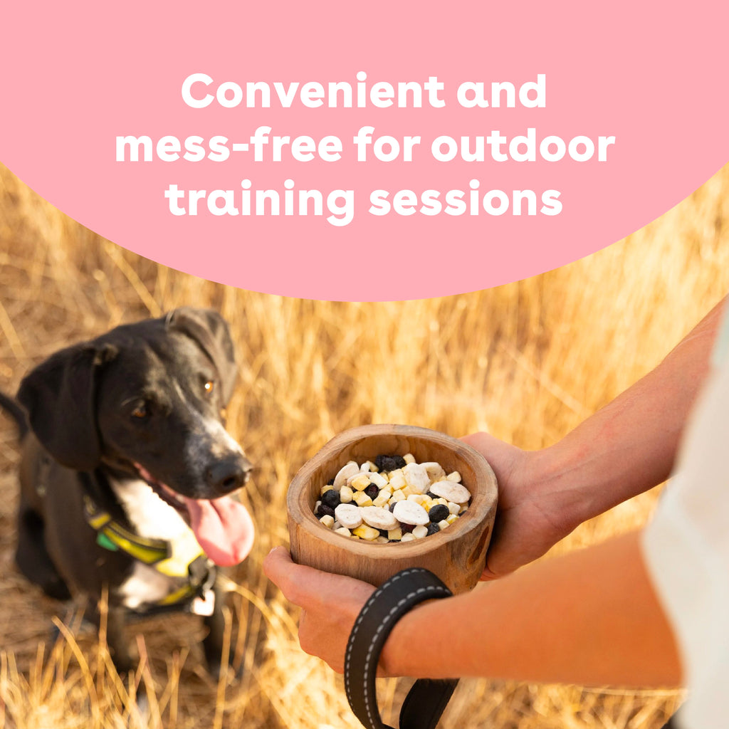 Freeze-Dried Blueberry Dog Training Treats in 2-Ounce Bags, Single and Multipack Sizes for Reward Sessions source image 5