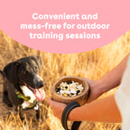 Freeze-Dried Blueberry Dog Training Treats in 2-Ounce Bags, Single and Multipack Sizes for Reward Sessions source image 5