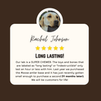 Moose Antler Base Dog Chew for Extreme Power Chewers, Dense Single-Piece Treat in Three Weight-Based Sizes source image 5