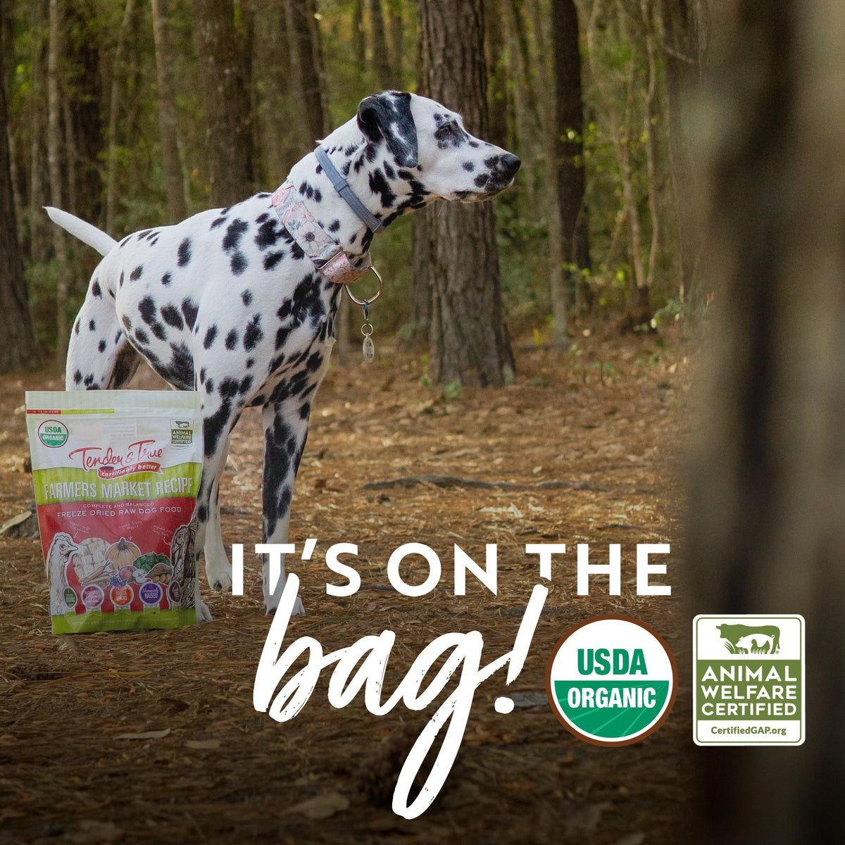Organic Freeze-Dried Raw Dog Food with Chicken and Turkey, Grain-Free Complete Meal or Topper source image 5