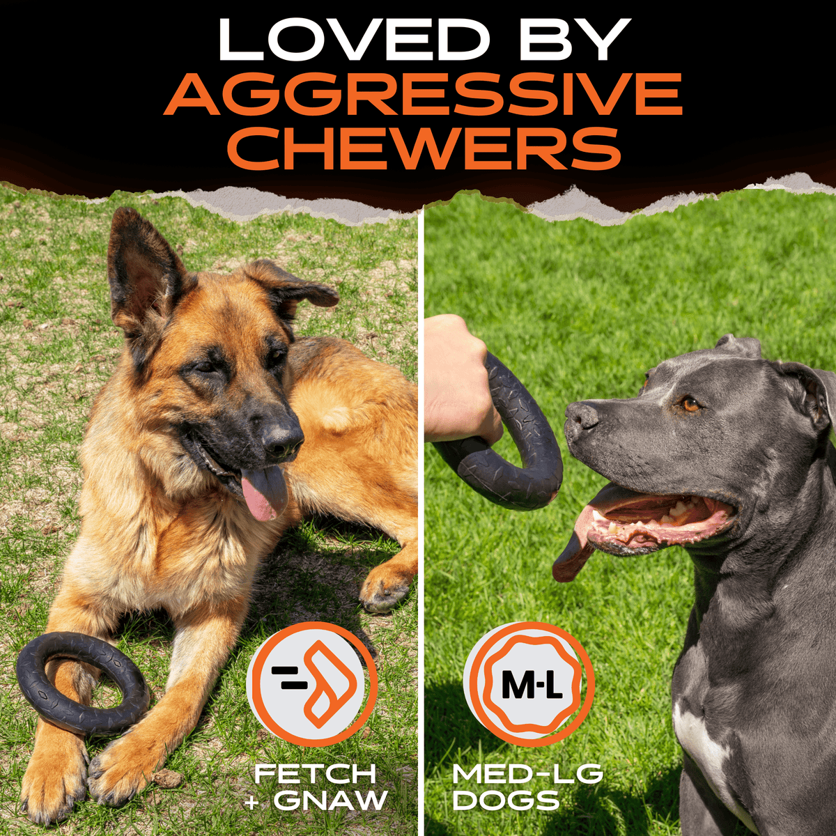 Rubber Dog Chew Toy in a Solid Natural Ring for Medium and Large Power Chewers and Supervised Play source image 5