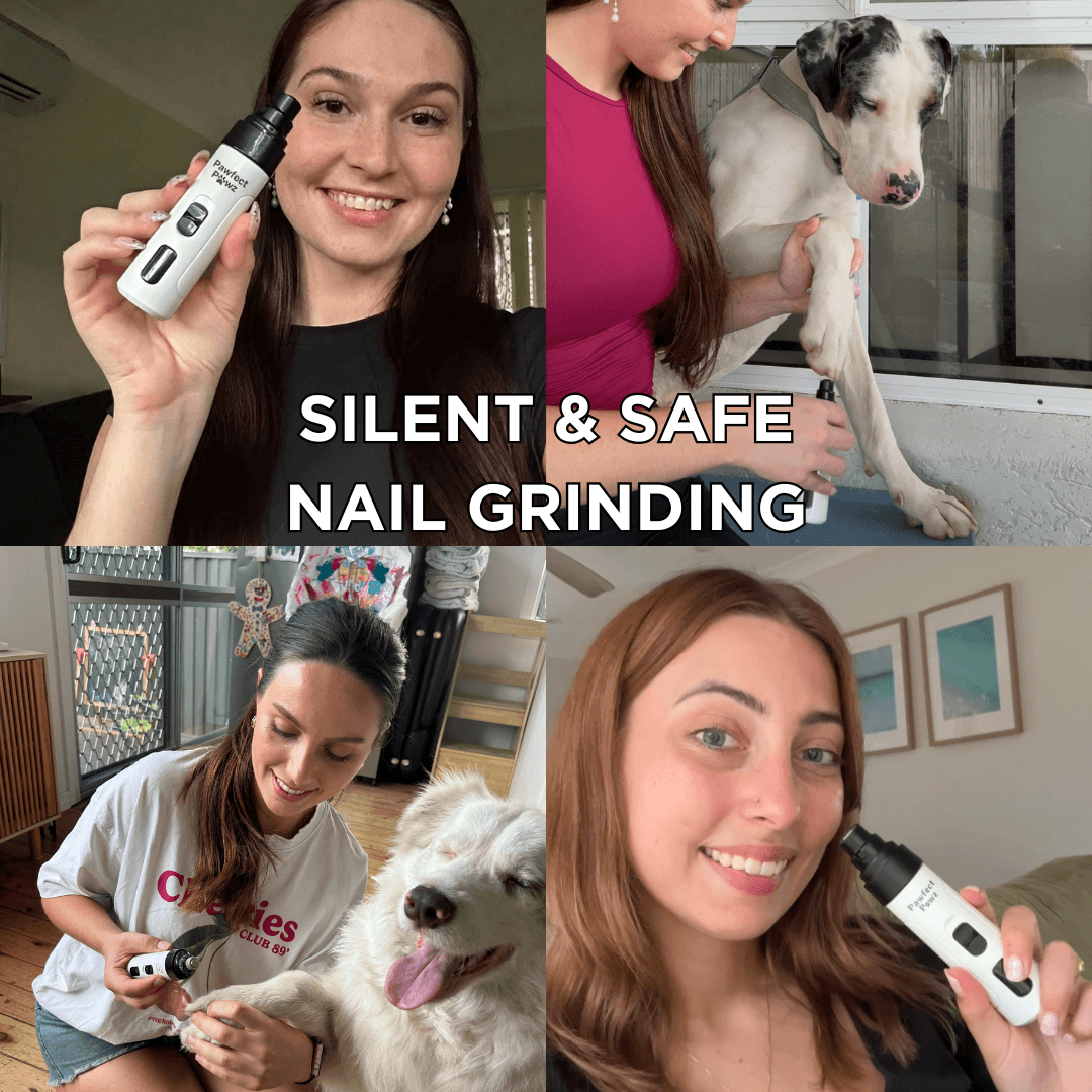 Electric Pet Nail Grinder, USB-C Rechargeable Two-Speed Tool with Three Guards and Diamond Grinding Head source image 5