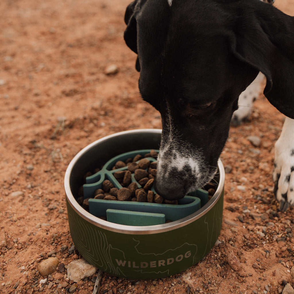 Silicone Slow Feeder Insert for Dog Bowls, Suction-Base Mealtime Puzzle in Two Practical Sizes source image 5