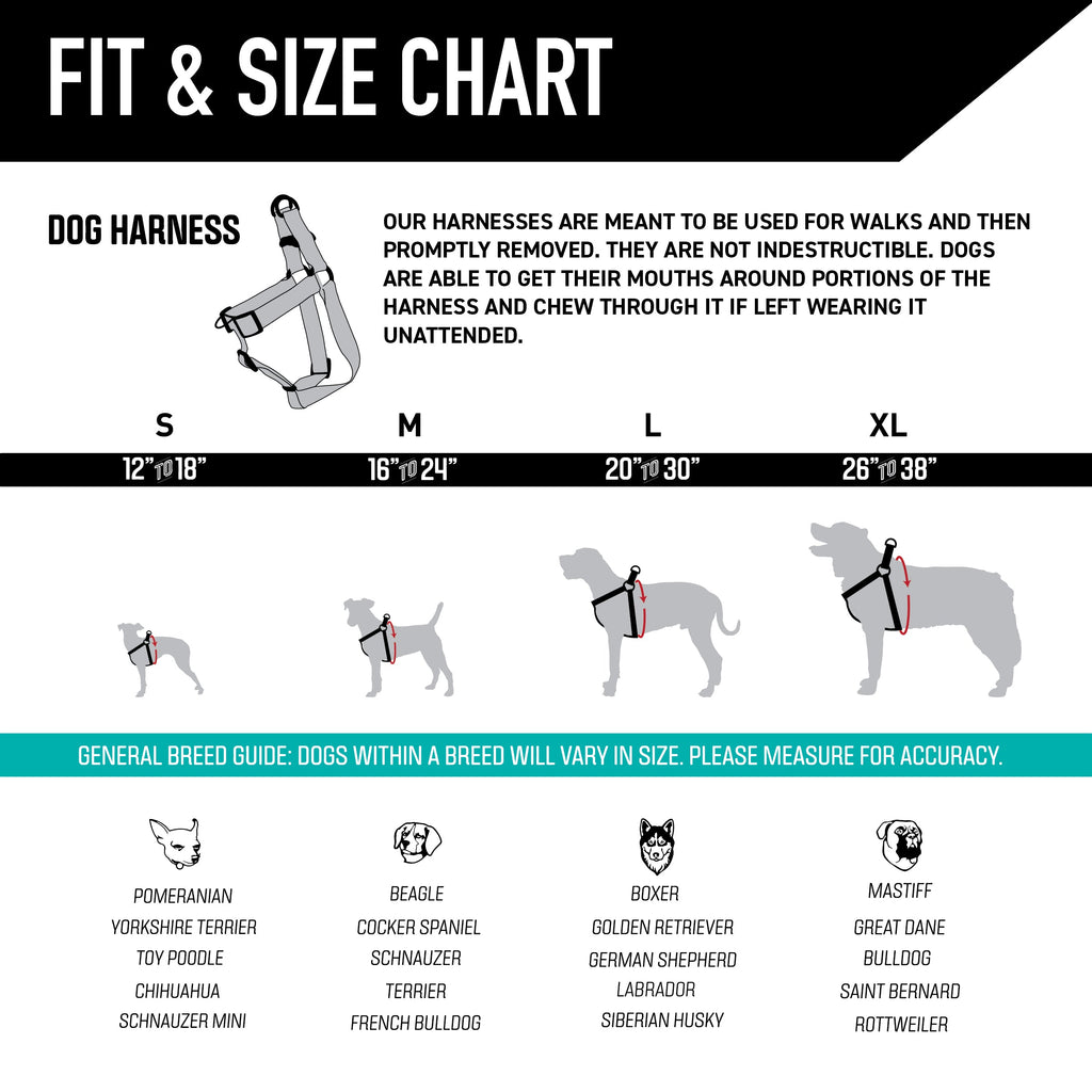 Adjustable Dog Walking Harness in Abrasion-Resistant Webbing for Secure Everyday Outdoor Adventures source image 5