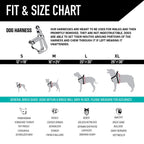 Adjustable Dog Walking Harness in Abrasion-Resistant Webbing for Secure Everyday Outdoor Adventures source image 5