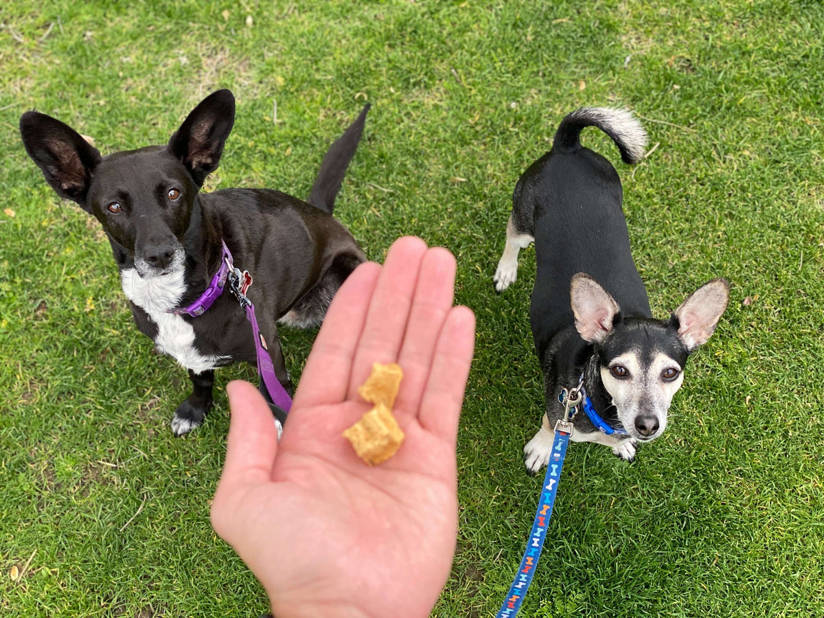 Air-Dried Beef Dog Training Treats, Crunchy High-Protein Rewards for Walks, Practice and Toppers source image 5