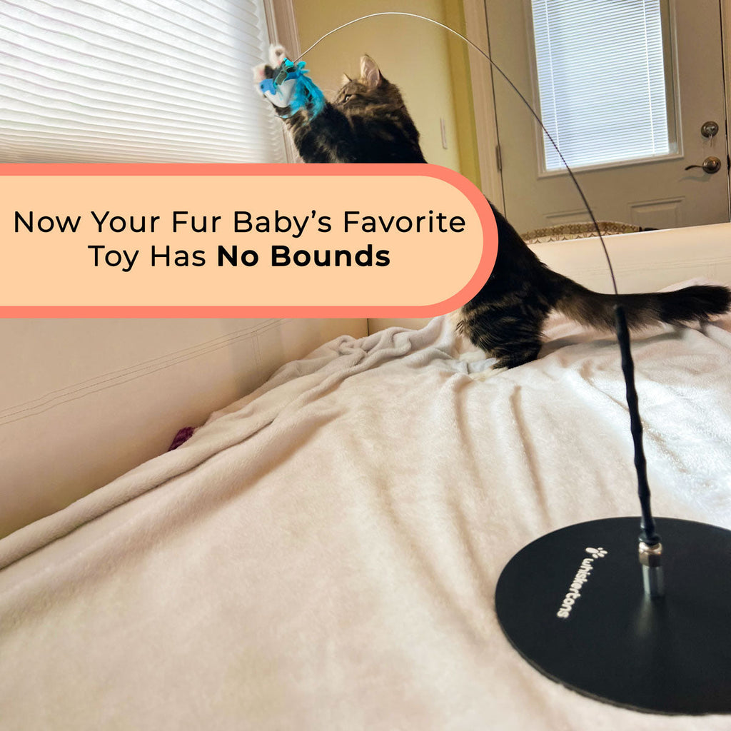Interactive Bird Cat Toy Bundle, Weighted Base and Suction Cup Set with Five Realistic Attachments for Hunting Play source image 5