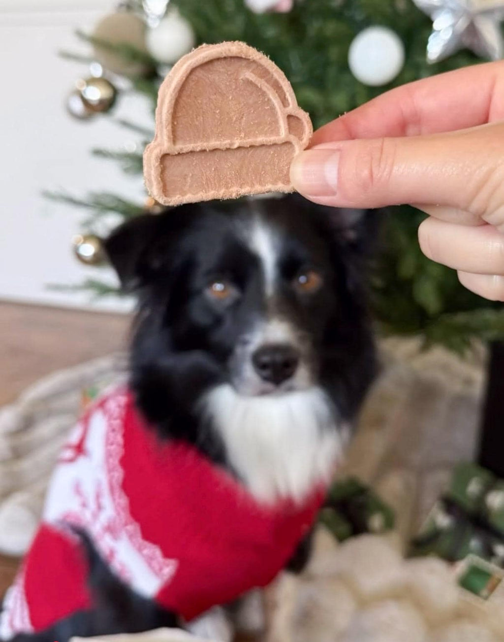 Freeze-Dried Holiday Pet Treats product image 5