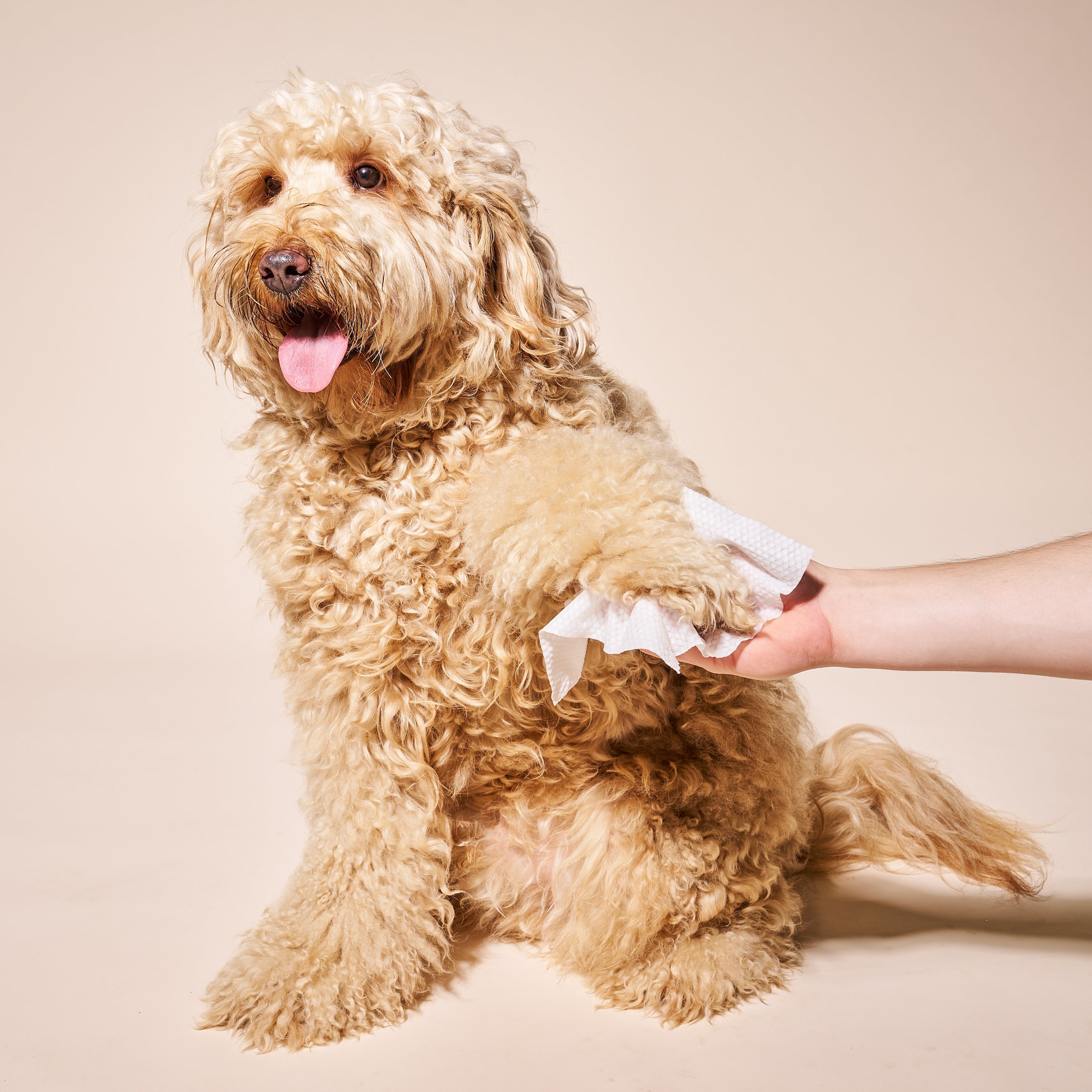 Dog Clean and Calm Care Set product image 5