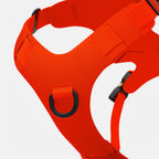 Crash-Tested Dog Travel and Trail Harness product image 5