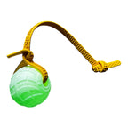 Glow EVA Dog Training Ball product image 5