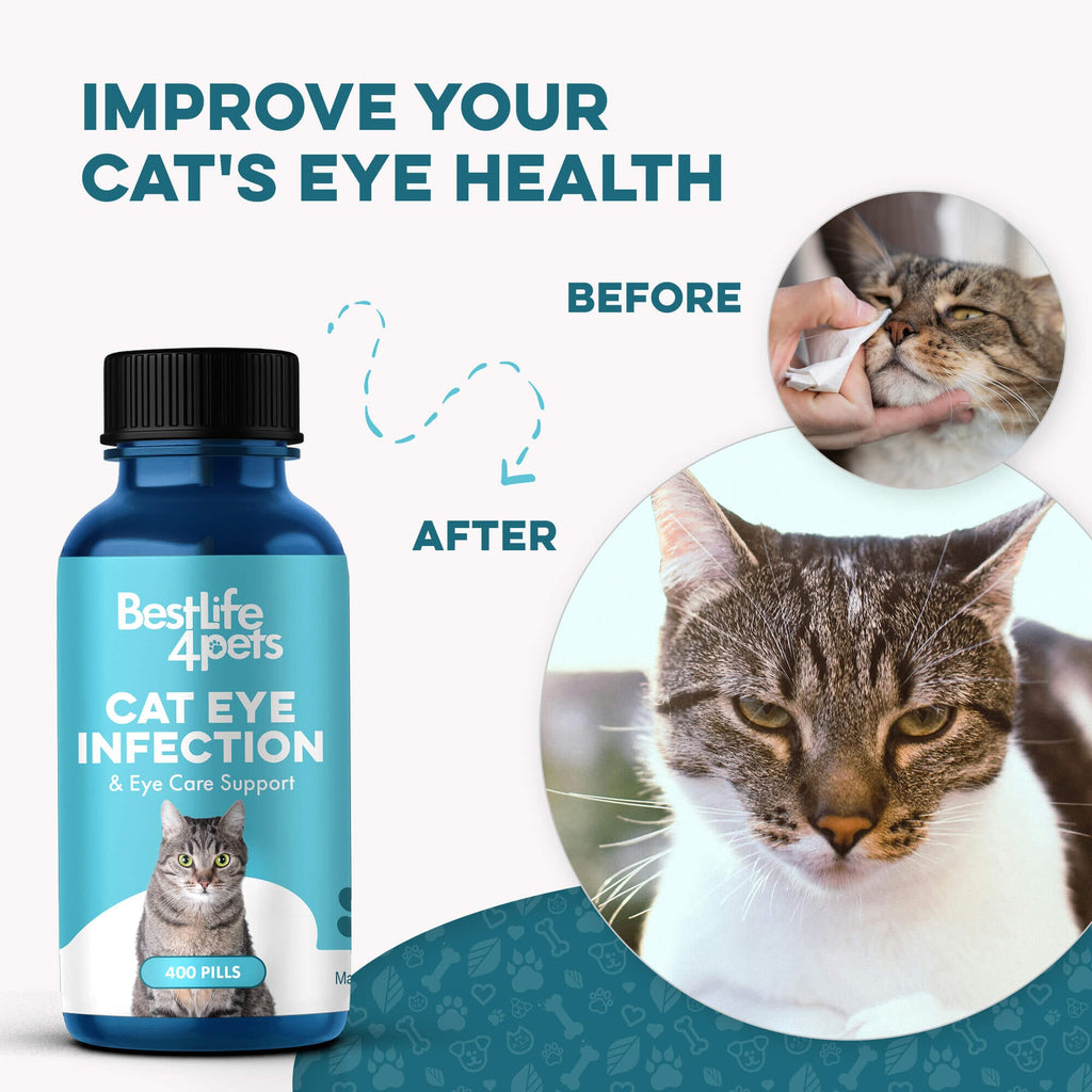 Cat Eye Care Support Tablets product image 5