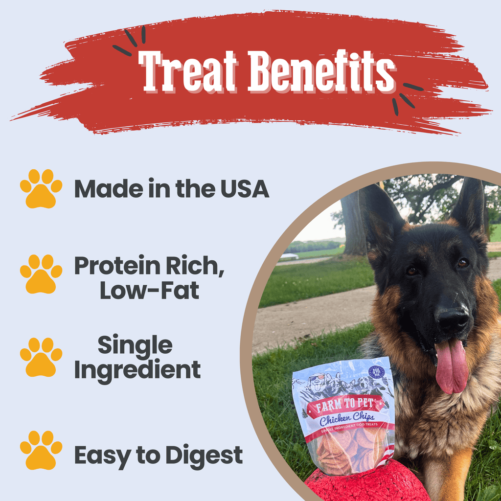 Chicken Chip Dog Treats product image 4