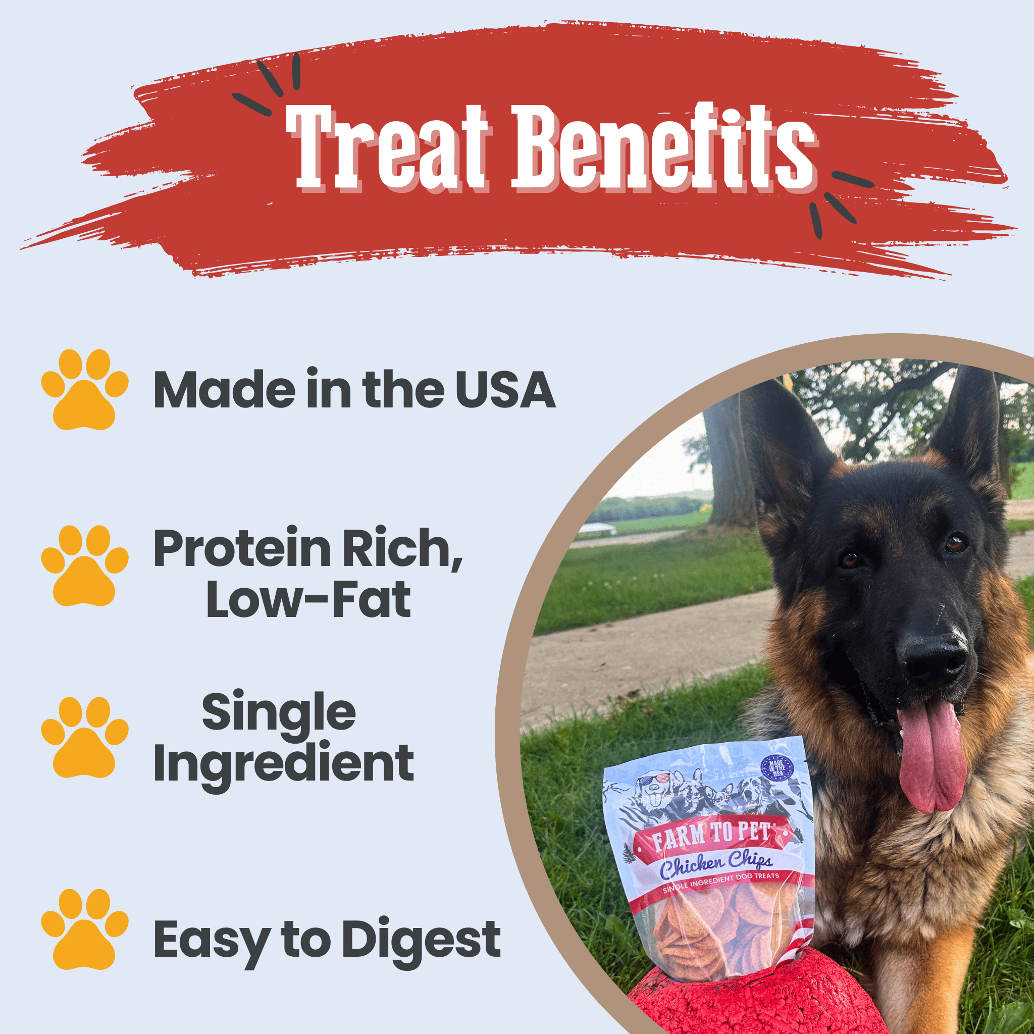 Chicken Chip Dog Treats product image 4