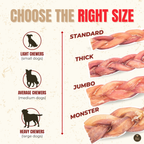 12-Inch Thick Braided Bully Sticks product image 5
