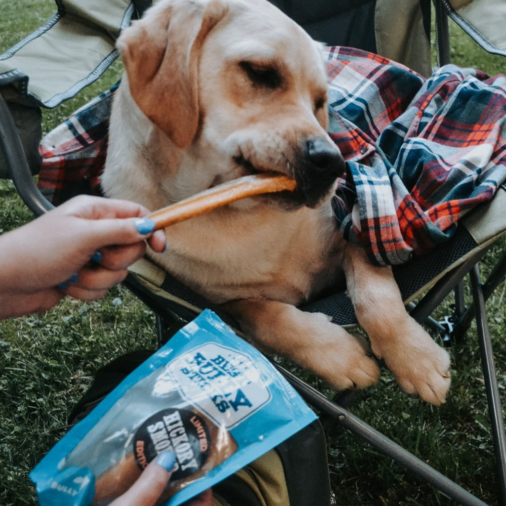 Hickory-Smoked Beef Bully Sticks product image 5