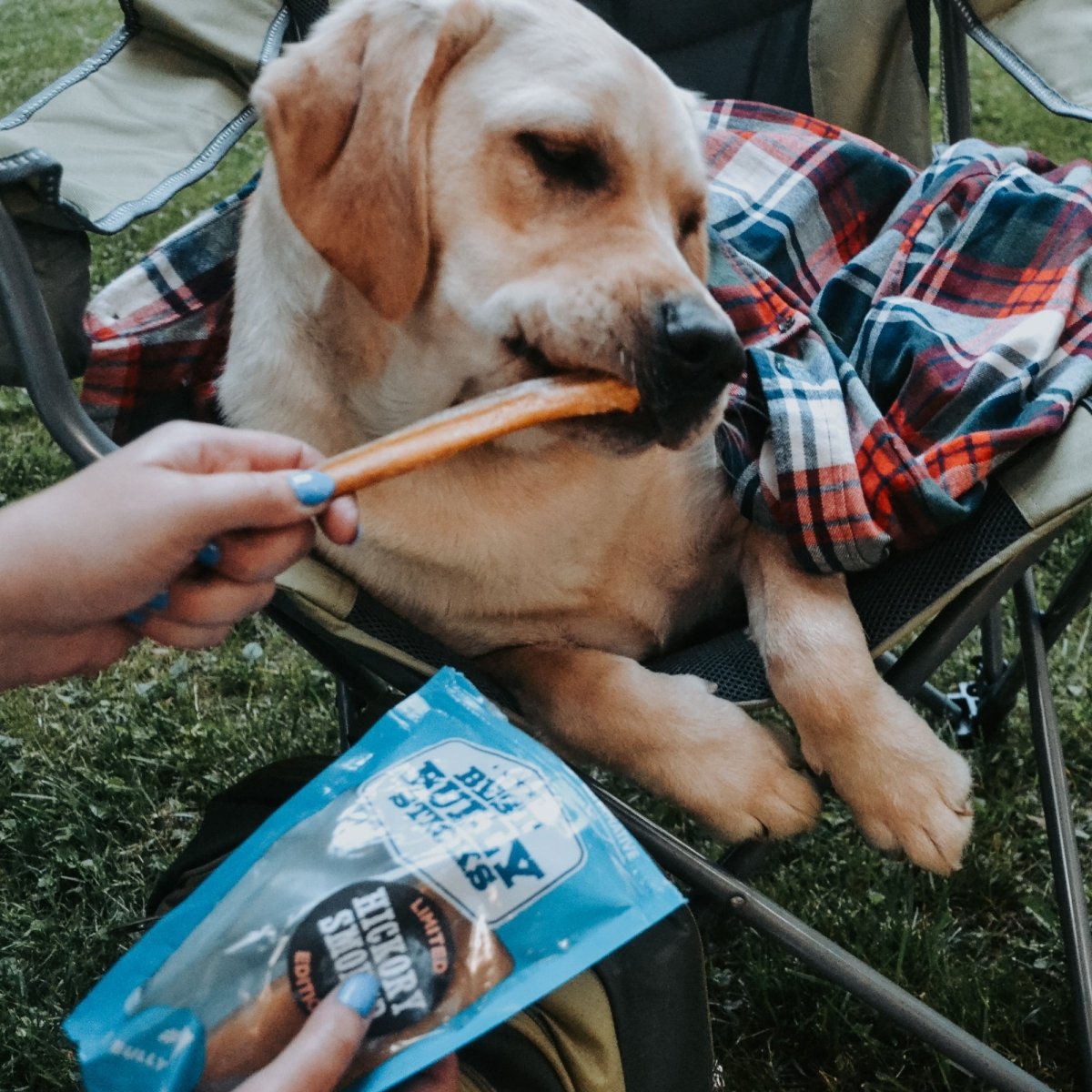 Hickory-Smoked Beef Bully Sticks product image 5