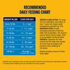 Flax-Free Chicken Meal Dry Dog Food product image 5