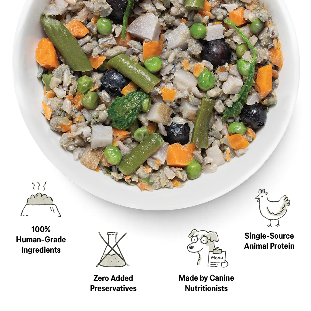 Non-Prescription Dog Food Variety Pack product image 5