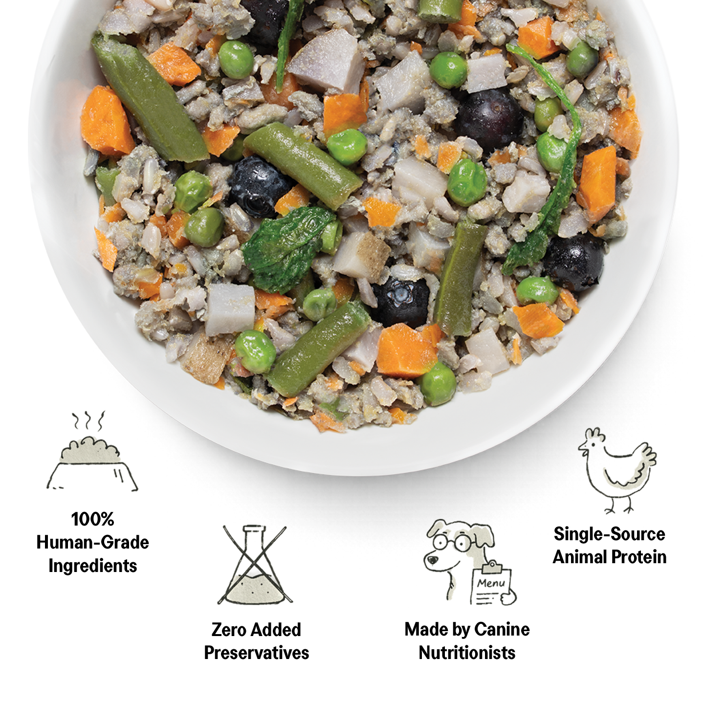 Non-Prescription Dog Food Variety Pack product image 5
