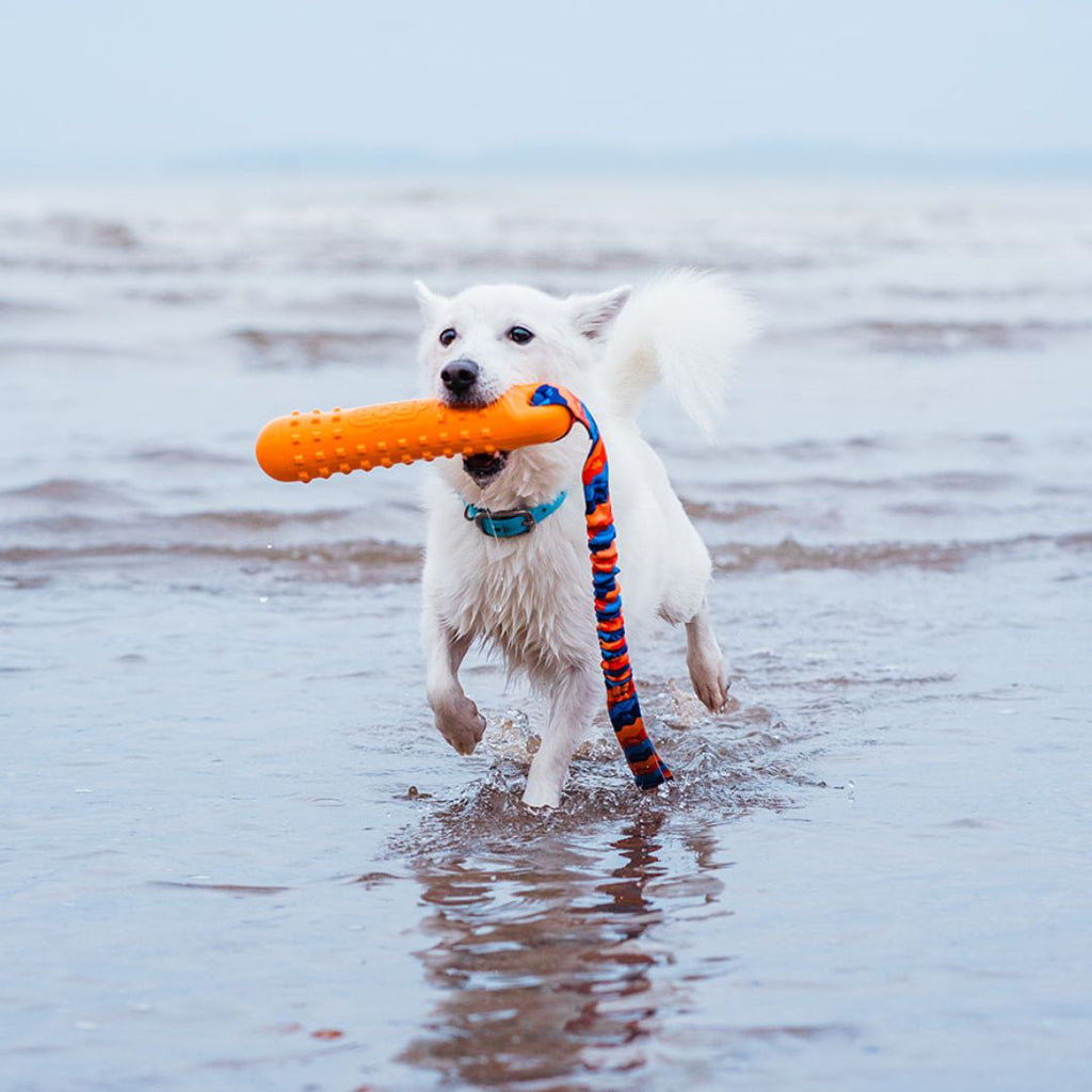 Waterproof Floating Dog Bumper Toy product image 2