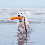 Waterproof Floating Dog Bumper Toy product image 2