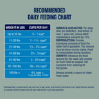 Ancient Grains Chicken Dry Dog Food product image 5