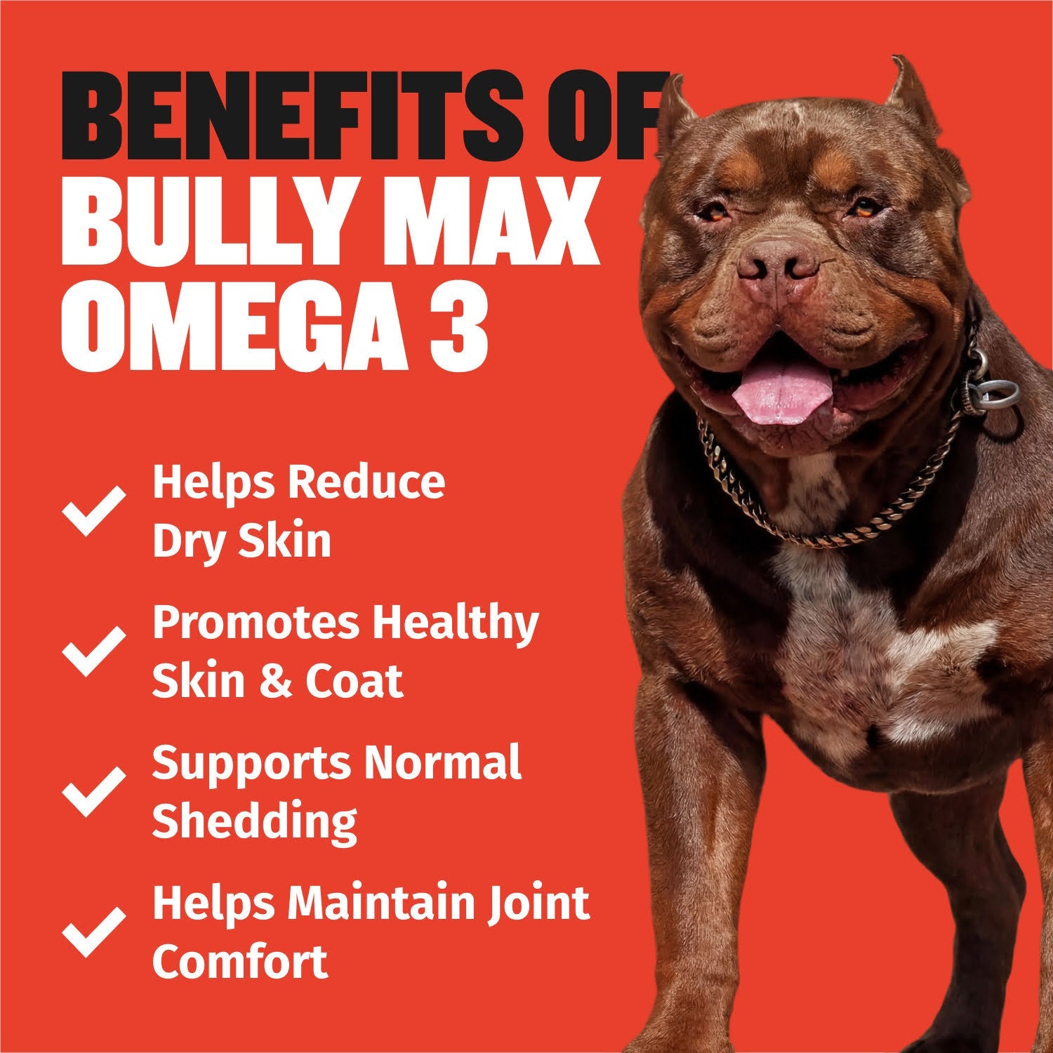 Dog Omega Fatty Acid Oil Supplement product image 5