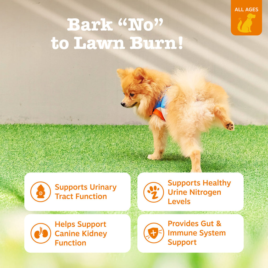 Dog Urinary and Lawn Support Soft Chews product image 5