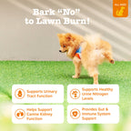 Dog Urinary and Lawn Support Soft Chews product image 5