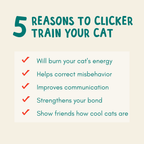 Cat Clicker Training Starter Kit product image 5
