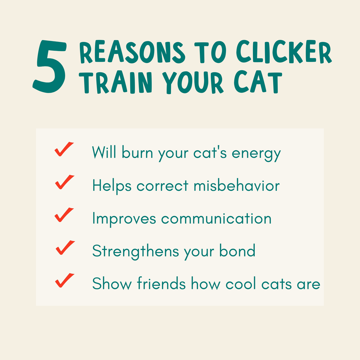 Cat Clicker Training Starter Kit product image 5