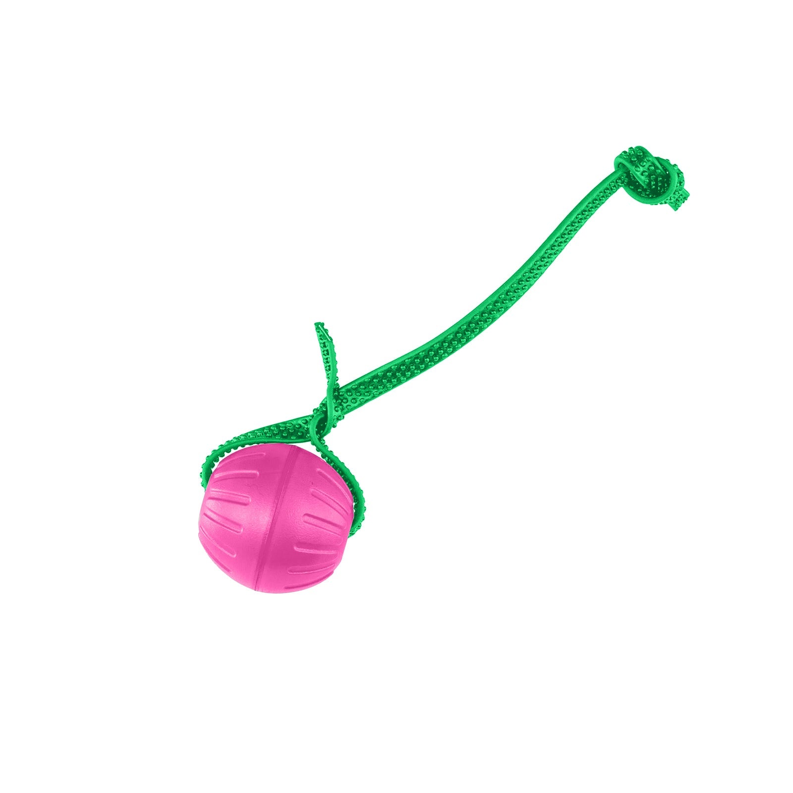 Replacement BioThane Dog Ball Strap product image 5