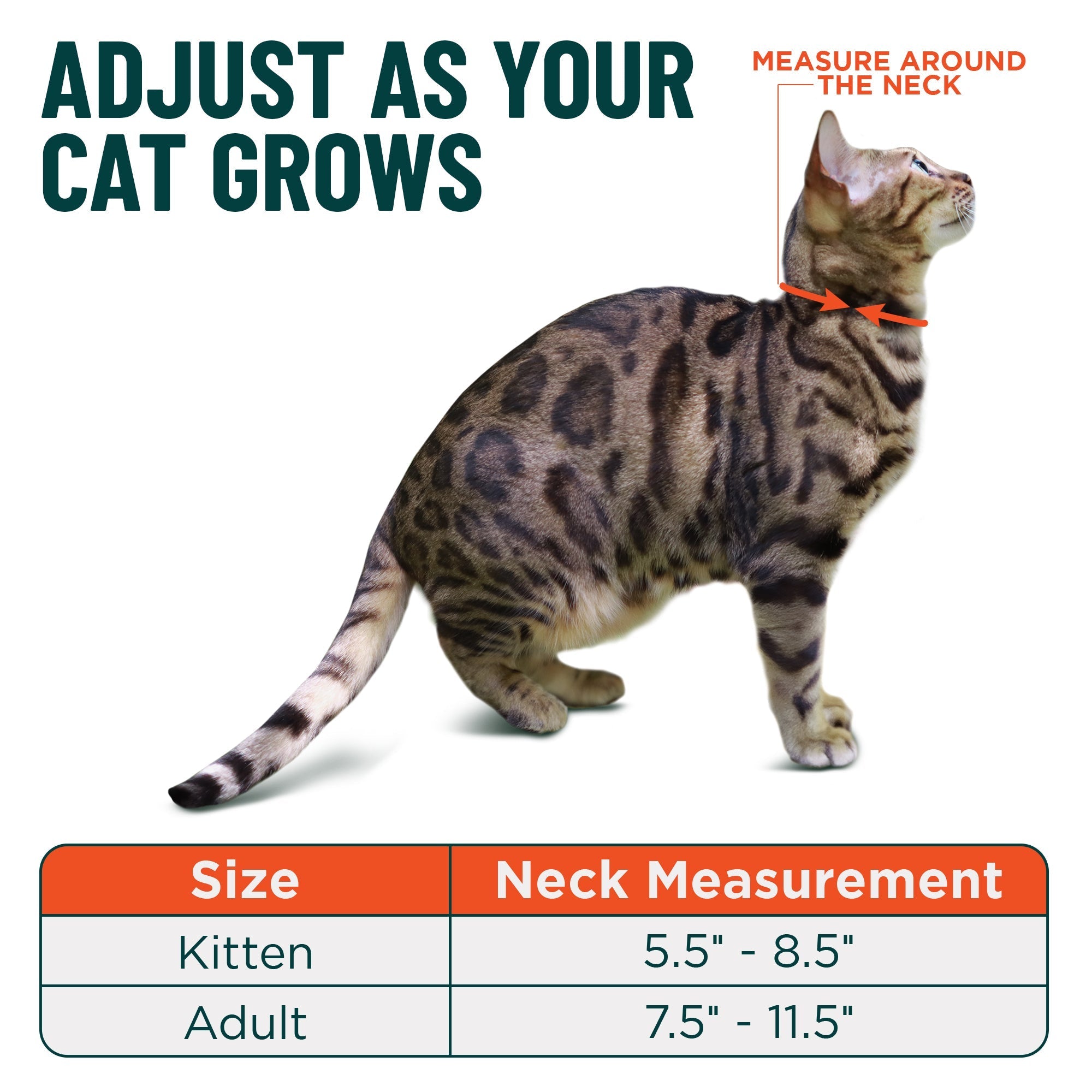 Breakaway Cat Collar product image 5
