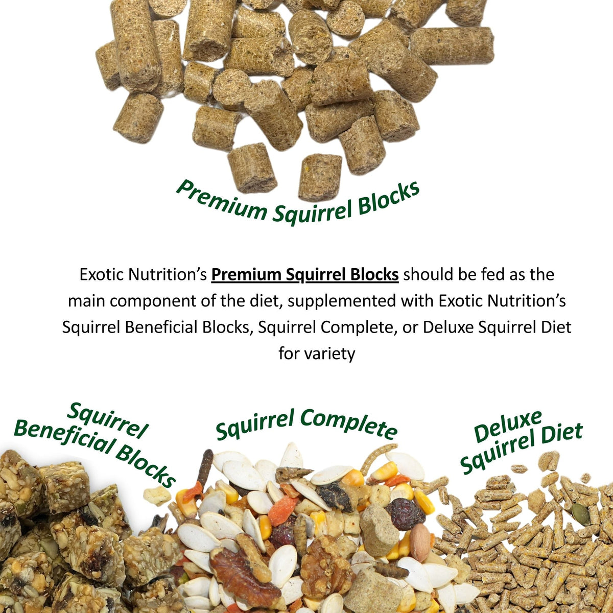 Complete Squirrel Food product image 5