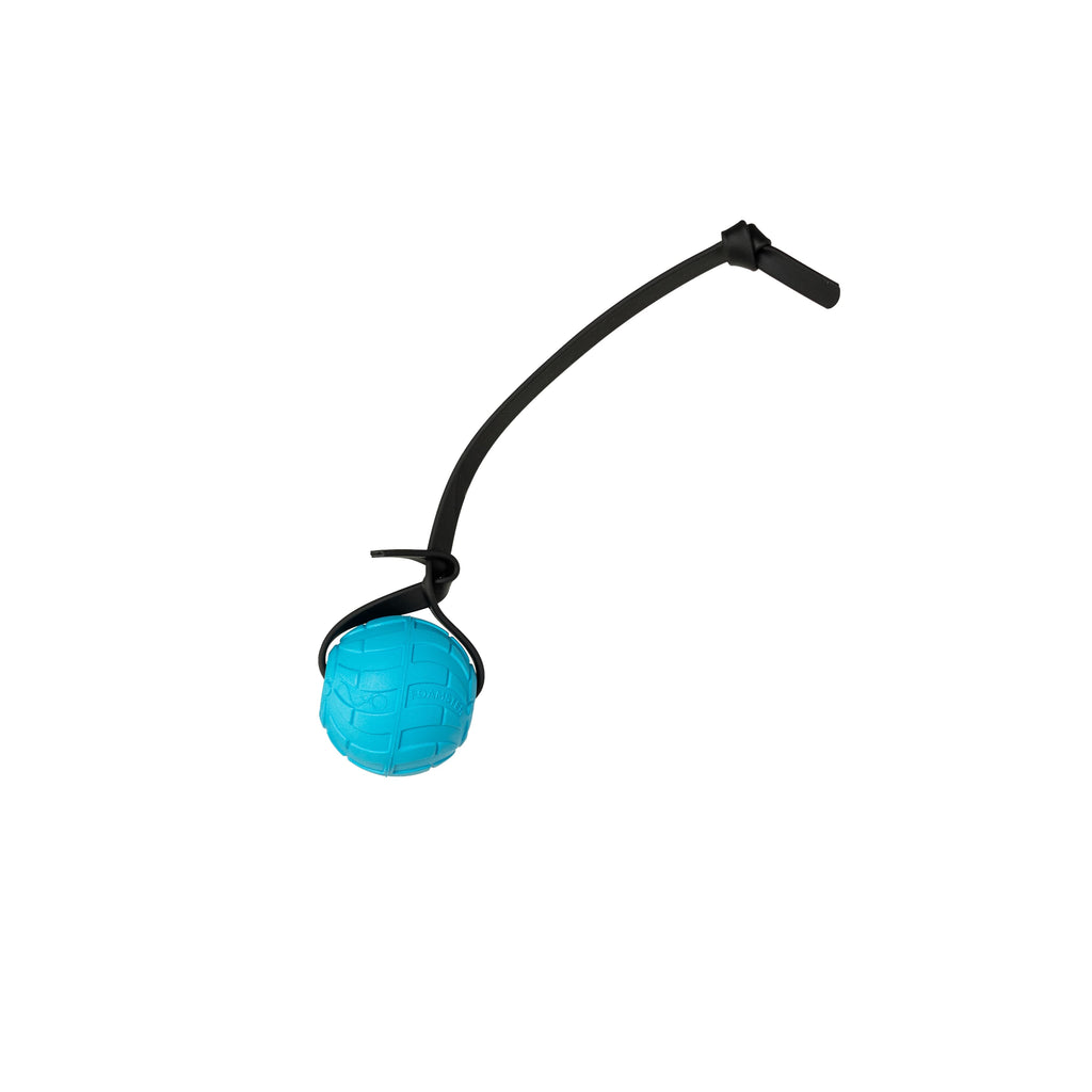 EVA Foam Dog Training Ball with Strap product image 5