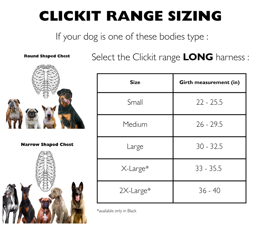 Crash-Tested Dog Car Safety Harness product image 5