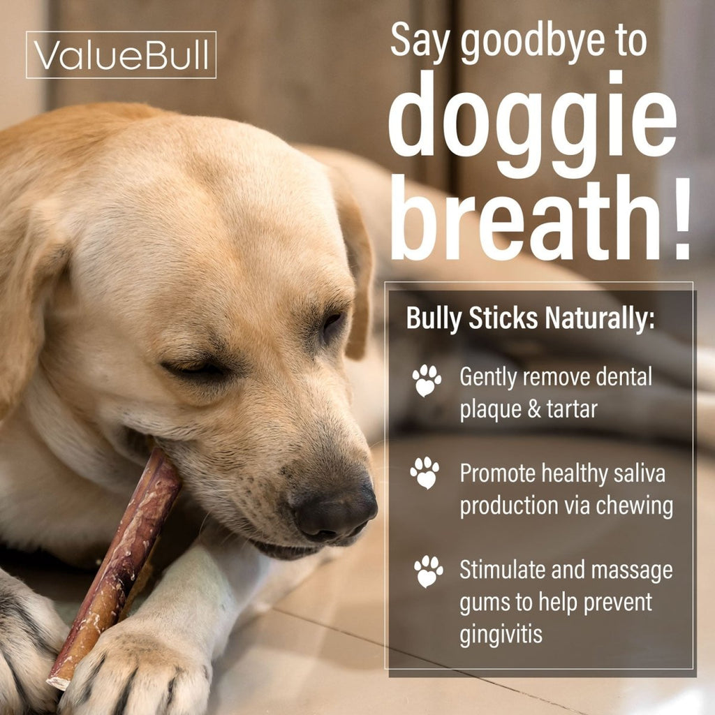 Thin 6-Inch Bully Sticks for Small Dogs product image 5