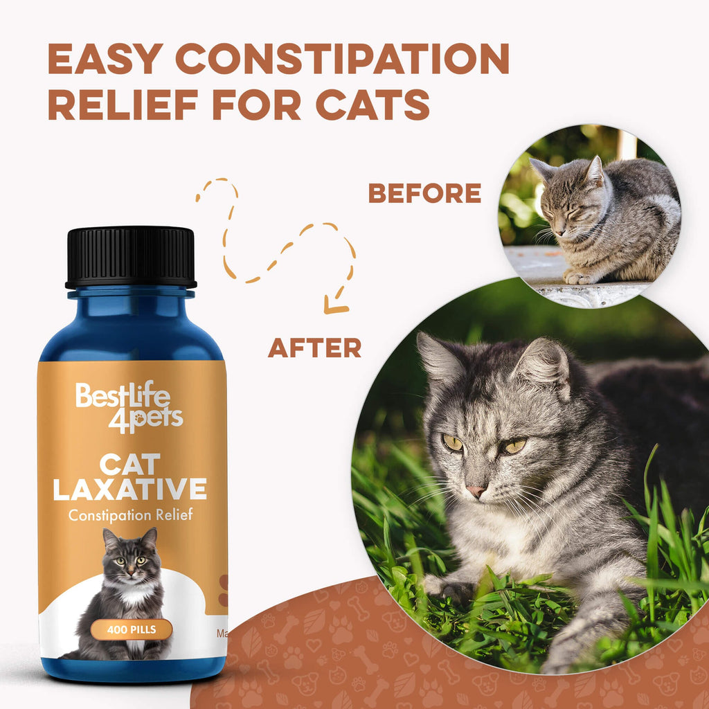 Cat Constipation and Digestive Support Tablets product image 5