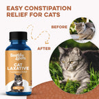 Cat Constipation and Digestive Support Tablets product image 5
