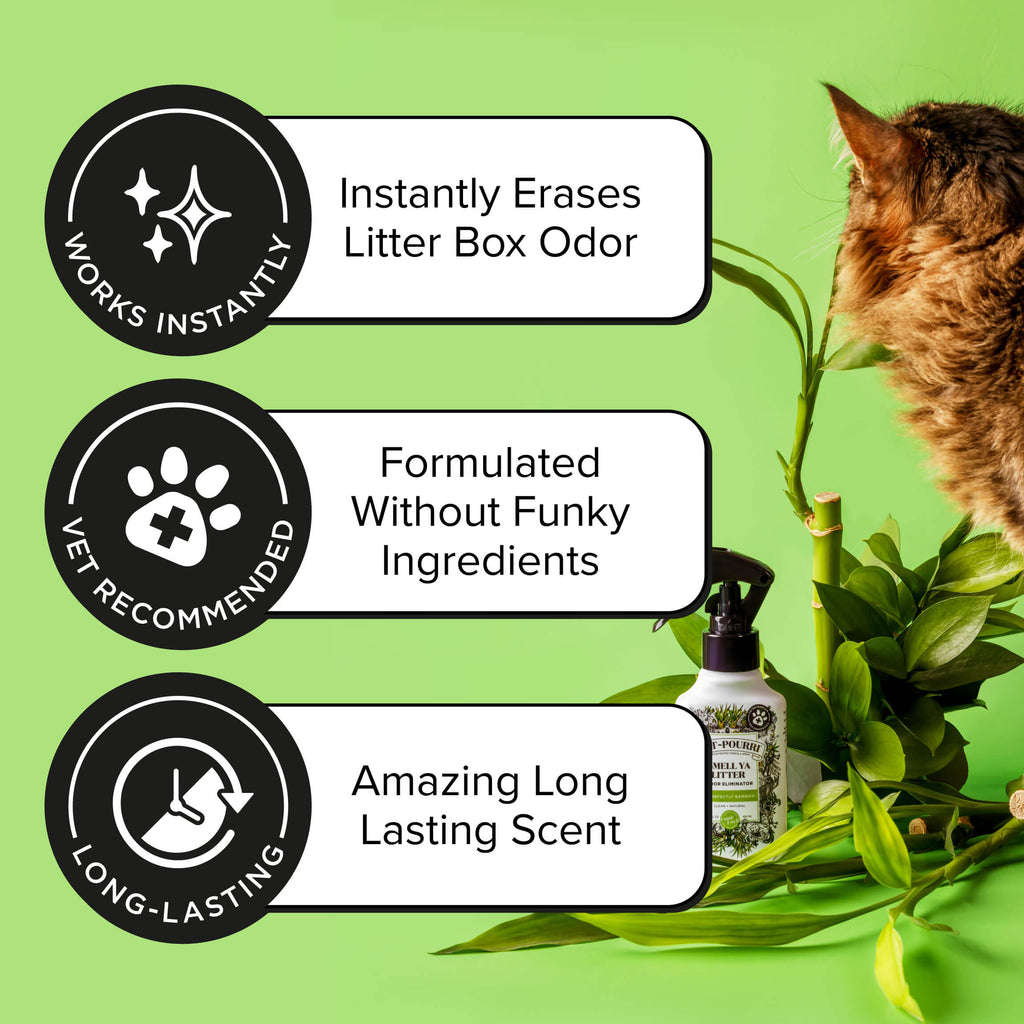 Cat Litter Box Deodorizer Spray product image 5