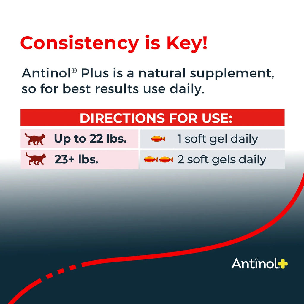Cat Joint Supplement product image 5