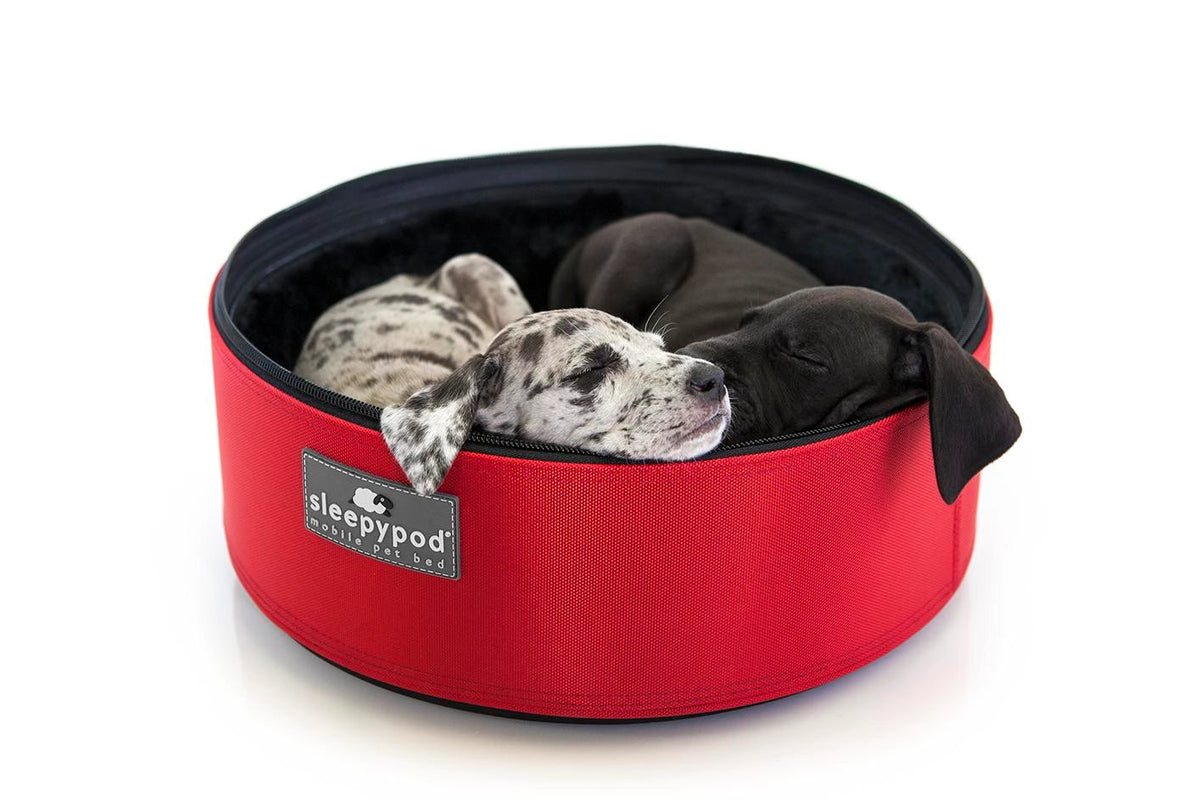Pet Travel Carrier product image 5