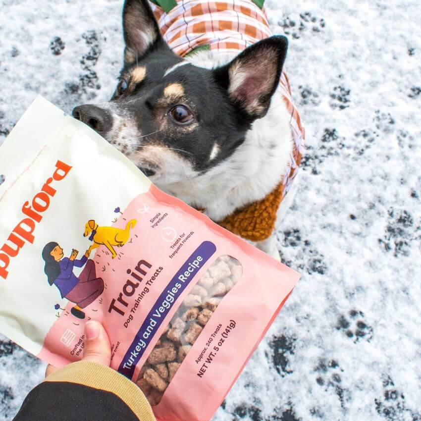 Freeze-Dried Turkey and Vegetable Dog Training Treats product image 5
