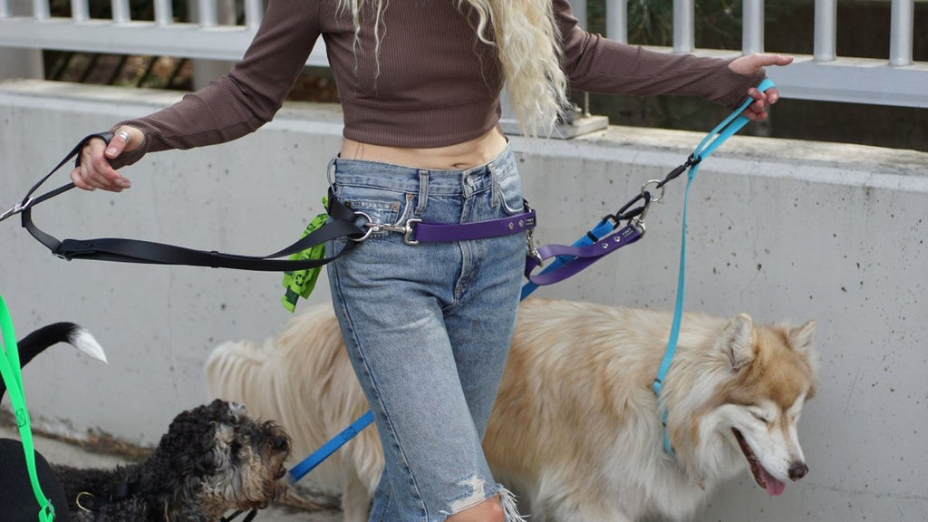 Hands-Free Dog Walking Belt product image 5