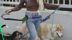Hands-Free Dog Walking Belt product image 5