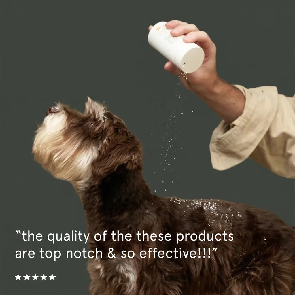 Dog Dry Shampoo product image 5