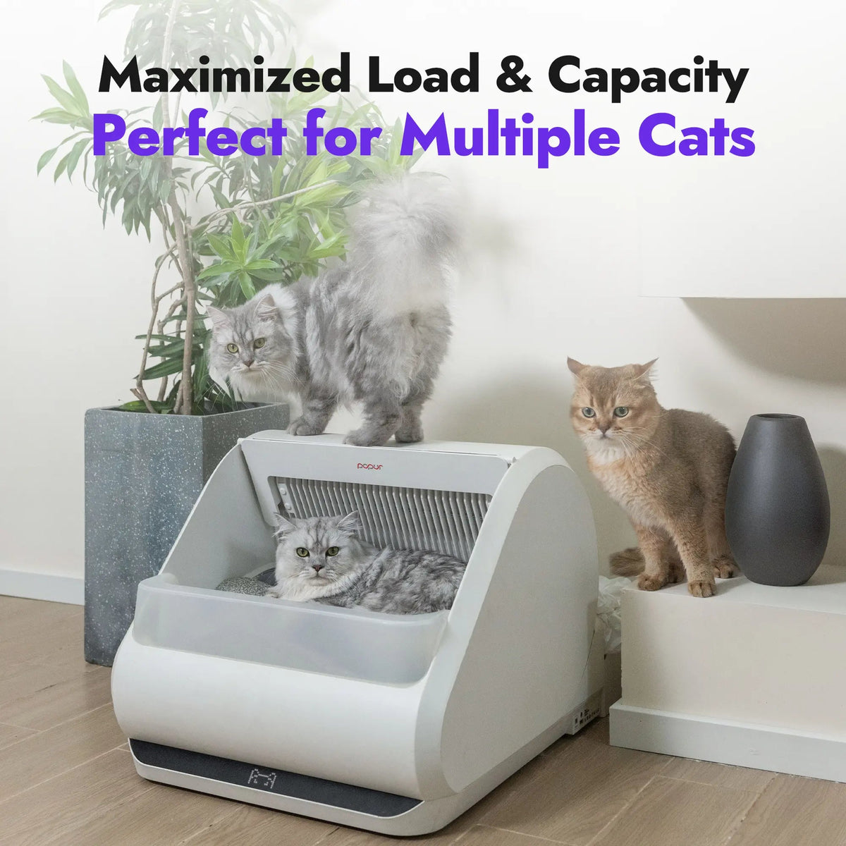 Litter Boxes product image 5