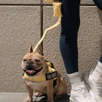 Bungee Dog Leash product image 5